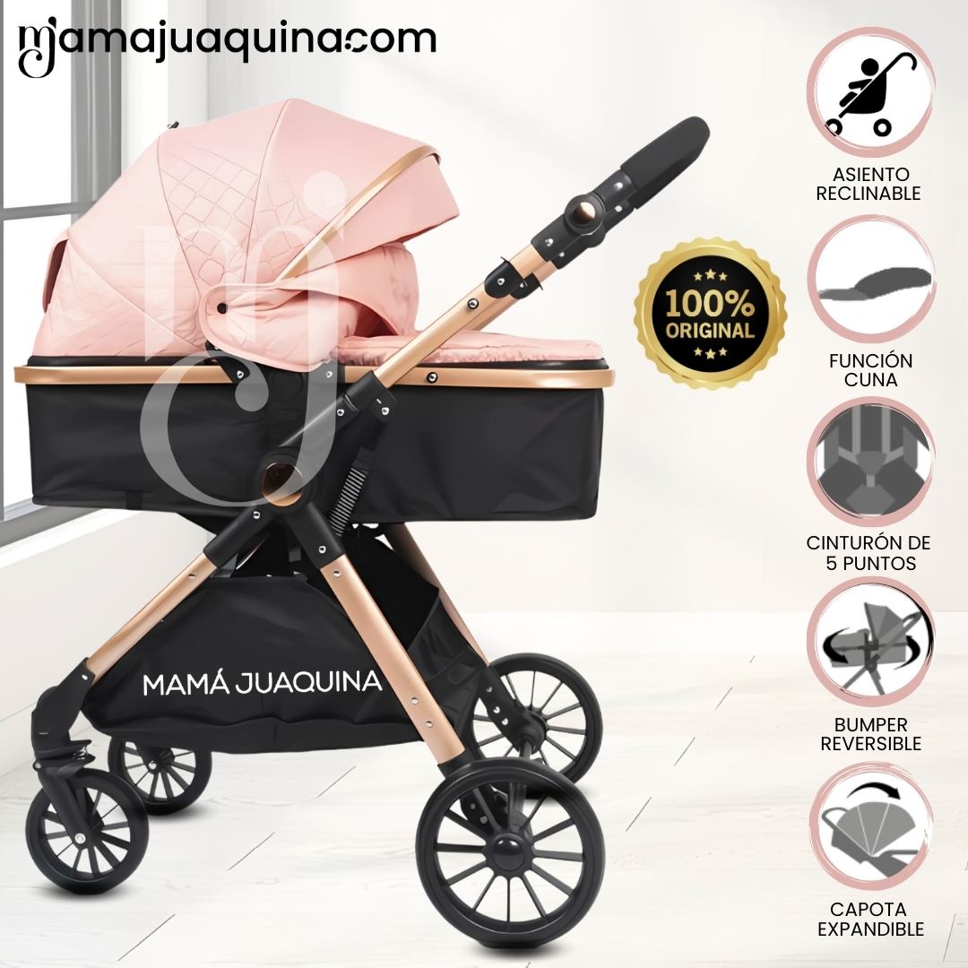Coche Moisés de Lujo «PARIS NEW» Edición Limitada Pink